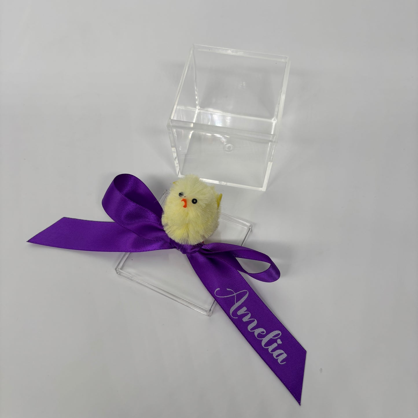 Easter Egg Container with Personalised Bow and Chicken or Bunny ( Eggs Not Included )