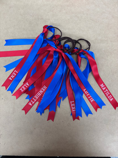 TEAM HAIR RIBBONS 2 COLOURS 15MM HORIZONTAL COLLEGE FONT