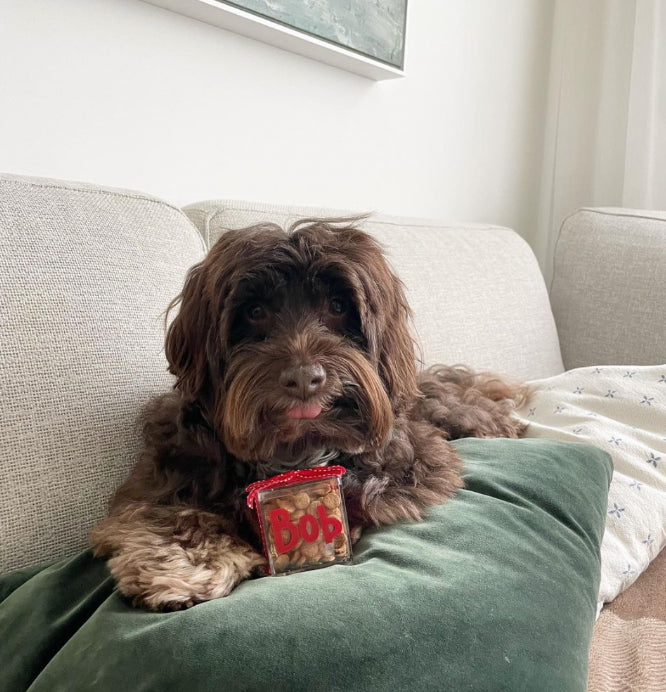 PERSONALISED DOG TREAT BOX