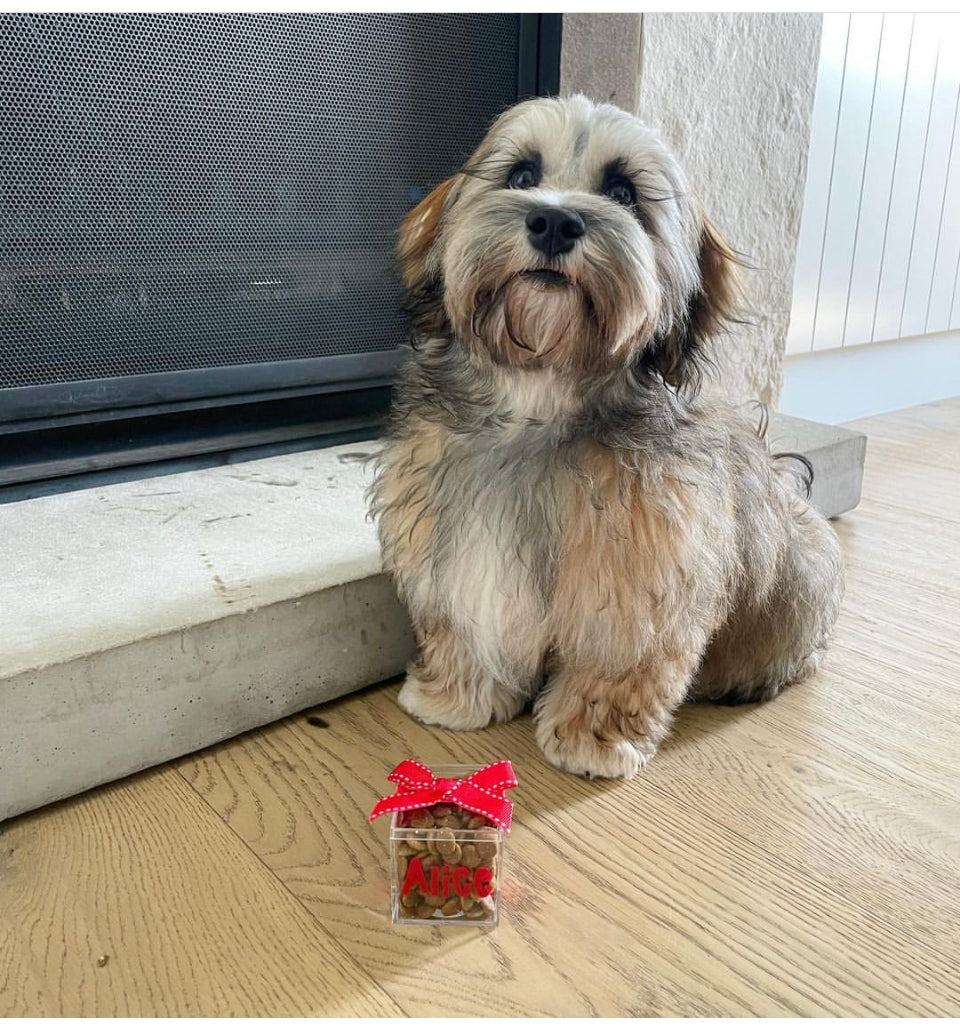 PERSONALISED DOG TREAT BOX