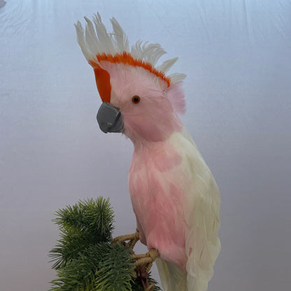Large white galah Australian Christmas tree decoration