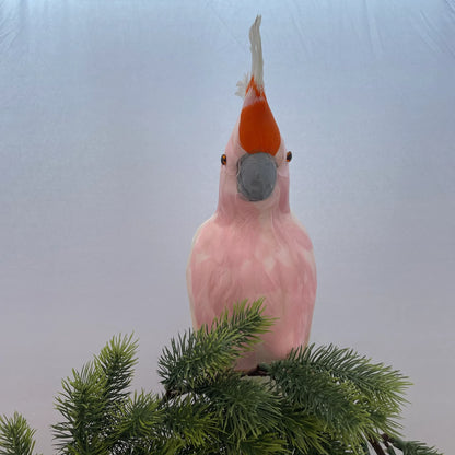 Large white galah Australian Christmas tree decoration