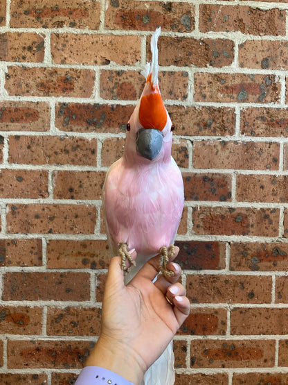 Large white galah Australian Christmas tree decoration