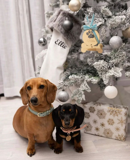 CUSTOM DOG & BONE PAW CHRISTMAS BAUBLE