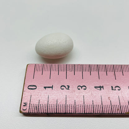LARGE SUGAR COATED ALMONDS